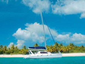 viking dream catamaran